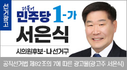 서은식