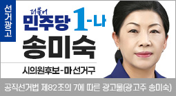 송미숙